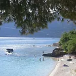 Holidays فاسيليكي