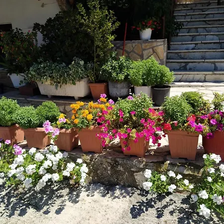 Lejlighedshotel Holidays 3*