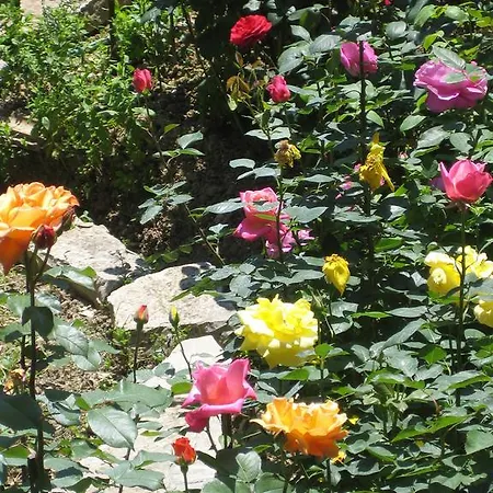 Holidays Lejlighedshotel Vasiliki