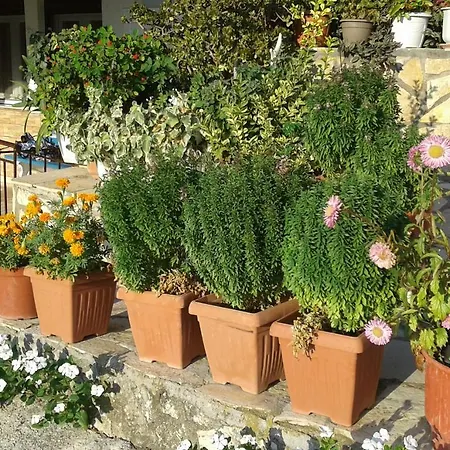 Lejlighedshotel Holidays Vasiliki